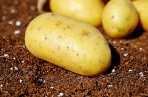 potatoes-