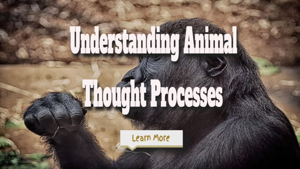 understanding animal thought processes