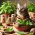 Catnip Varieties: Explore Tasty Choices for Your Cat