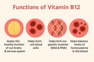 Functions of Vitamin B12