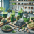Culinary Outlook for 2025: Emerging Food Trends