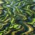 Bellville Golf Club: Your Ultimate Golfing Destination