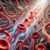 Vitamin B12 Blood Test: Essential Guide for Southport Residents