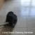 Grout Cleaners Near Longcross: Top Local Picks