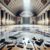 Marble Floor Polishing Prices in the UK: A Complete Guide