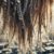 Spring Refresh for Dull Hair: Revitalize Your Locks