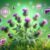 Herbs for Liver Health: An Essential Guide to Benefits