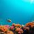 Great Blue Hole Belize: Essential Guide for Diving and Snorkeling