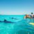 Whale Shark Swimming Tips and Best Times in Belize