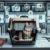 Cat Airline Policies: Essential Tips for Traveling with Pets