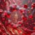 Ferritin Blood Test: The Essential Guide for Banbury Residents