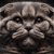 Essential Tips for Scottish Fold Ear Maintenance