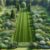 Garden Clearance Cost: Your Essential Guide for the UK
