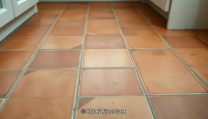 Understanding the Factors Behind Rapid Dirt Accumulation on Terracotta Floors