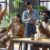 Pets in Workplace Wellness: Enhancing Employee Health