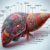Advanced Liver Blood Test Guide for Residents of Maidstone