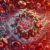 Ferritin Blood Test: Essential Insights for Torquay Residents