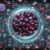 Ferritin Blood Test: A Vital Resource for Warwick Residents