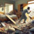Pet Safety Checks Following Earthquake Recovery