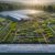 Quality Herbs Sourcing: A Guide to Selection in the UK