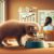 Weaning Schedules for Kittens: Key Tips and Timeline Guide