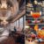 Day Drinking Sours: Best Choices at Las Vegas Bars