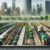 Urban Gardening: Essential Tips for City Success